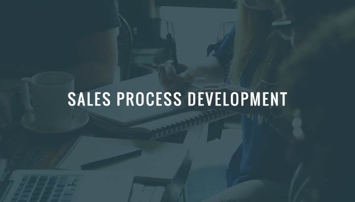 sales development process banner